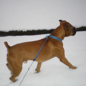 snow