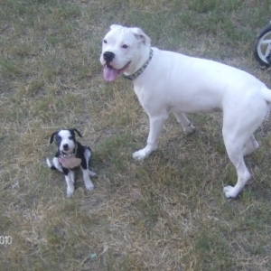 Daisy & Oreo