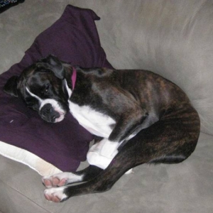 On The Pillow
