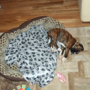 sleepy_james