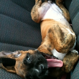Car ride! Yessss!
