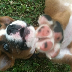 Tucker