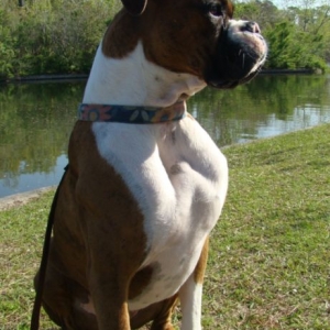 Lilly at the park