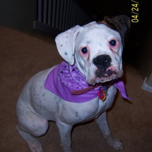 Roxy!
