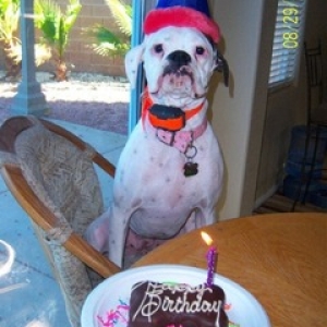 Happy birthday!