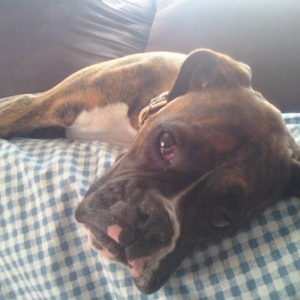 naptime