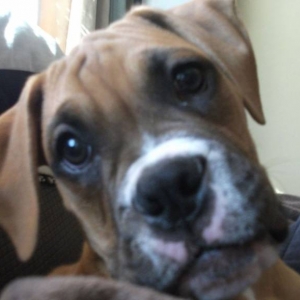 My Jack :)