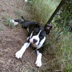 Jake at 4 months