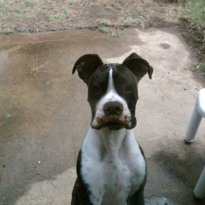 Jake 5months