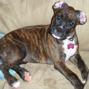 Ellie3months
