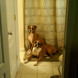 caesar and looshus