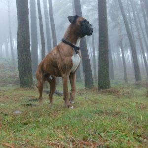 Scouting the area...