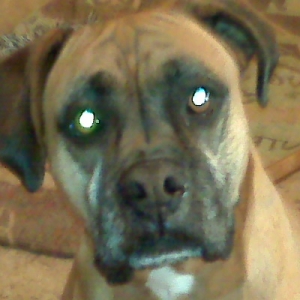 My old girl