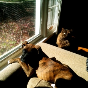 The kids, hanging out