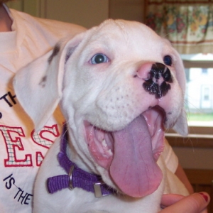 Bosley 3mo