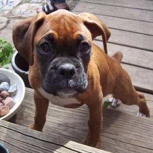 Chloe 2mo