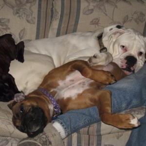 Cuddling