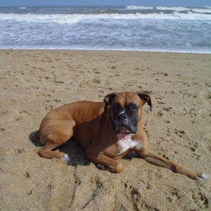 Luvthebeach