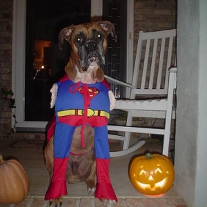 SuperMak