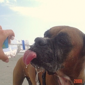 Thirsty
