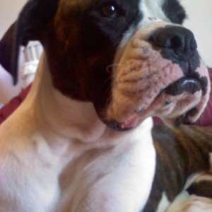 Big Girl