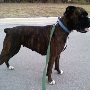 Meet Macey