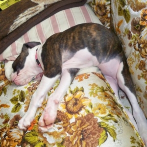 sleeping