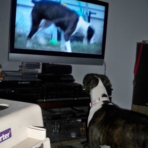 The tv and her