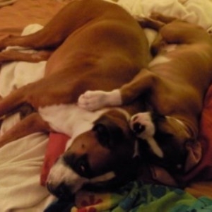 Buddy and Tank