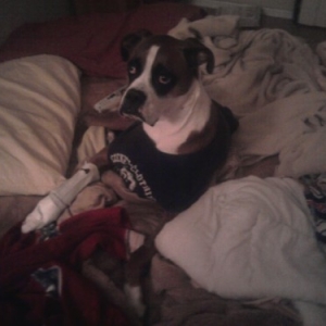 Buddy