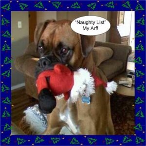 Happy Holidays!