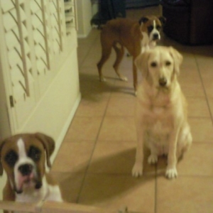 Beggars