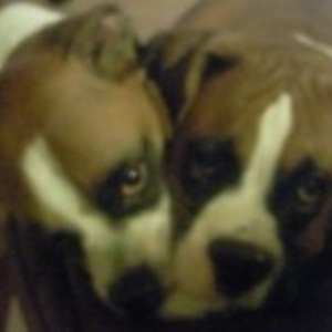 Buddy and Tank