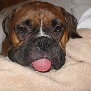 Tyson