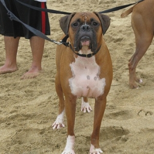 Tyson