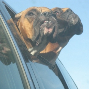 Feeling the breeze