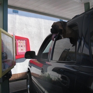 Rocky ordering @ Sonic Burger