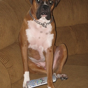 Tyson decides what to watch on Tv