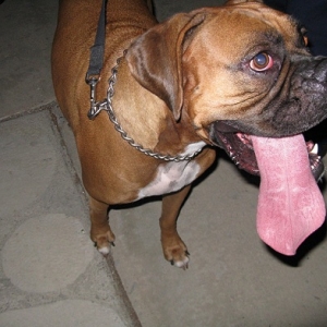 Check out that tongue