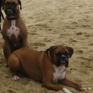 Smile for the picture !! !! !!