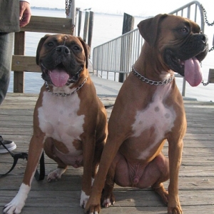 Sittin on the dock of the bay....