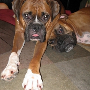 Always someone to lean on
