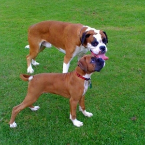 suggs and his friend charlie