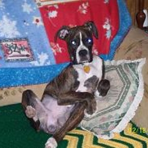 Cindel_Loungin