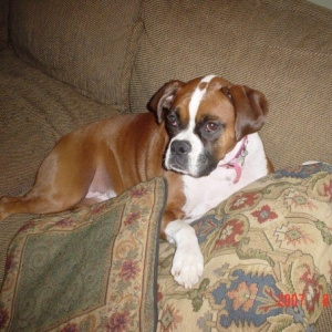 Precious Tess