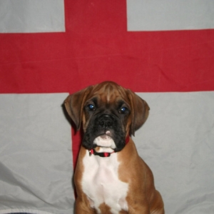 Suggs' first week home