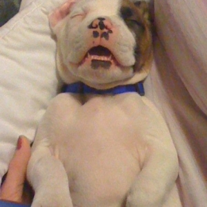 passed out