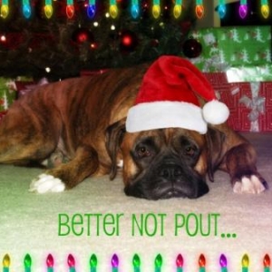 Better Not Pout