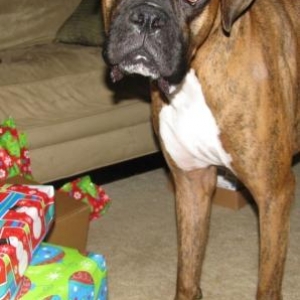 Do I have any more presents to open?