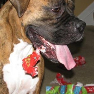 Wrapping Paper